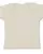 31323.webp