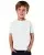 31333.webp