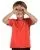 31336.webp