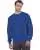 31341.webp