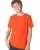 31460.webp