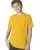31462.webp