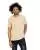 31527.webp