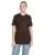 31528.webp