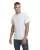 31531.webp
