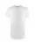 31553.webp