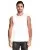 31733.webp