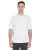 32892.webp