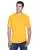 33004.webp