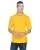 33107.webp