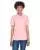 33308.webp