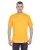 33381.webp