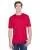 33384.webp