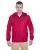 33421.webp