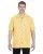 33505.webp