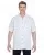33513.webp