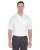 33596.webp