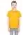 33606.webp