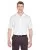 33684.webp