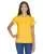 33727.webp