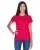 33740.webp