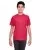 33750.webp