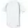 339544.webp