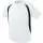 340590.webp