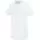 341158.webp