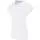 344154.webp