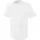 344782.webp