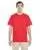 34976.webp