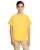 35006.webp