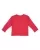 3502.webp