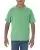 35023.webp