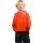 3508.webp
