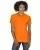 35081.webp