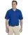 35173.webp