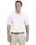 35174.webp