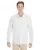 35244.webp