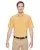35343.webp