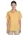 35353.webp