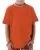 3556.webp