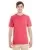 35686.webp