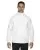 35908.webp