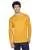 35934.webp