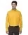 35944.webp