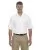 36287.webp