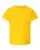 36287_f_fl.webp