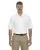 36288.webp